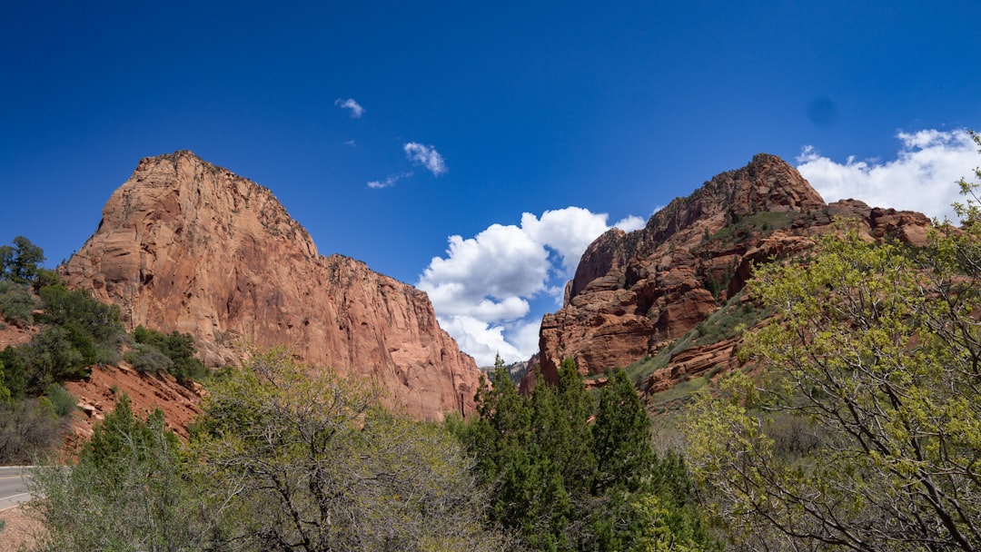 Red rocks and green vegetation beneath blue skies.