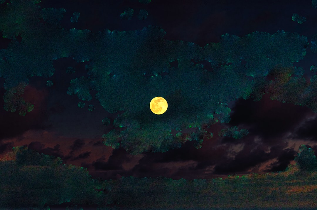 a full moon is seen in the night sky