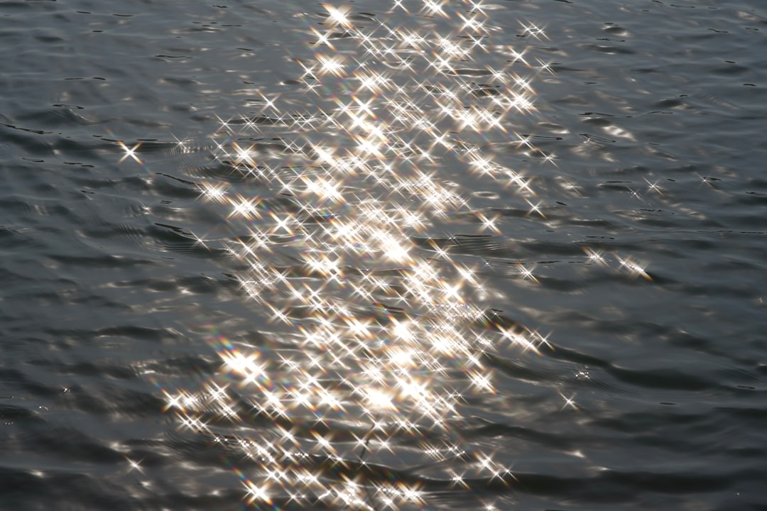 The sun shines brightly on the water